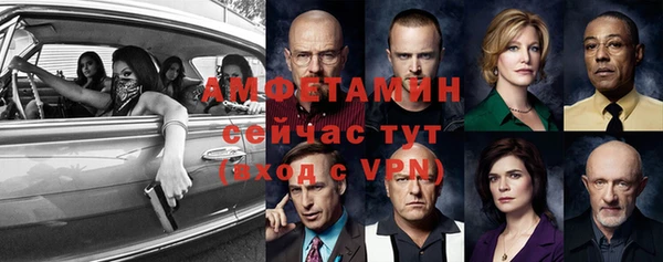 прущие грибы Богородск