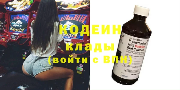 прущие грибы Богородск