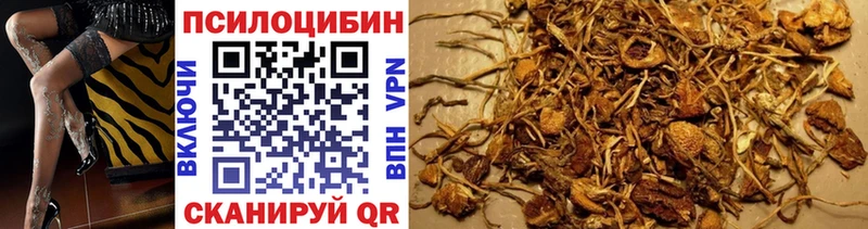 кракен как войти  Моздок  Псилоцибиновые грибы Psilocybine cubensis 