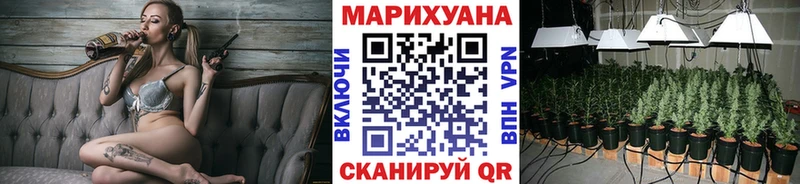 сколько стоит Моздок Каннабис THC 21%